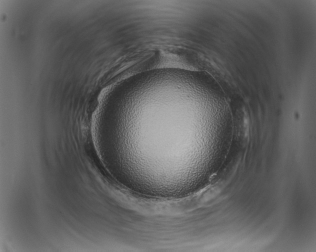 X0000067380040200603311222