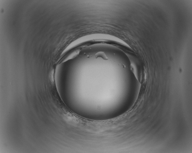 X0000067380041200603311222