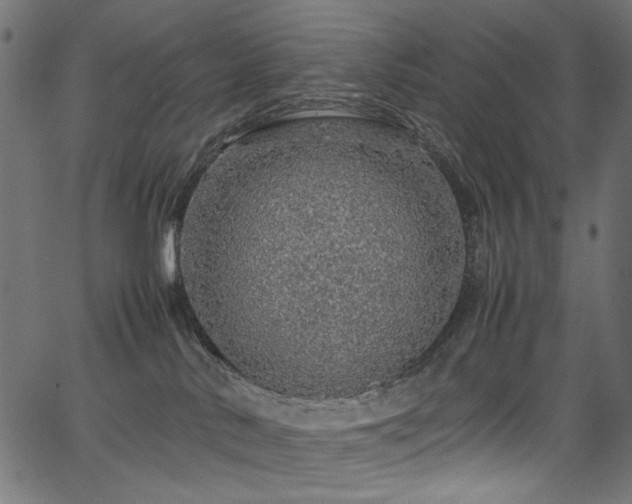 X0000067380042200603311222
