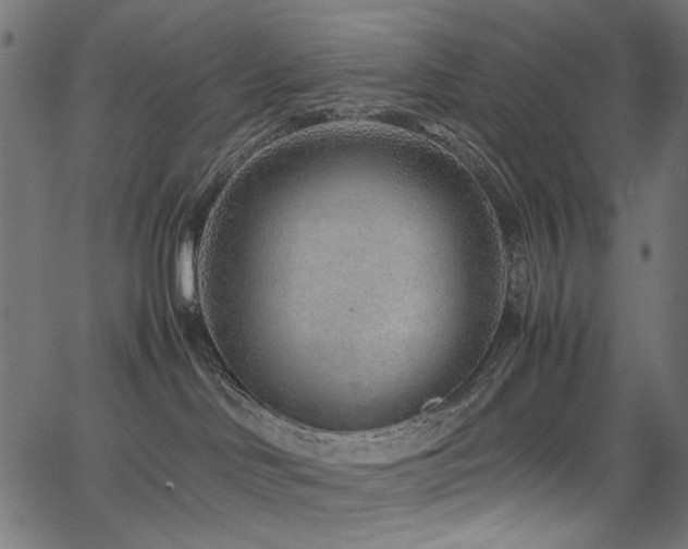 X0000067380046200603311221