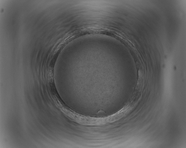 X0000067380048200603311221