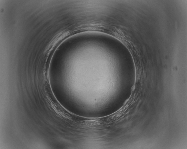 X0000067380050200603311221