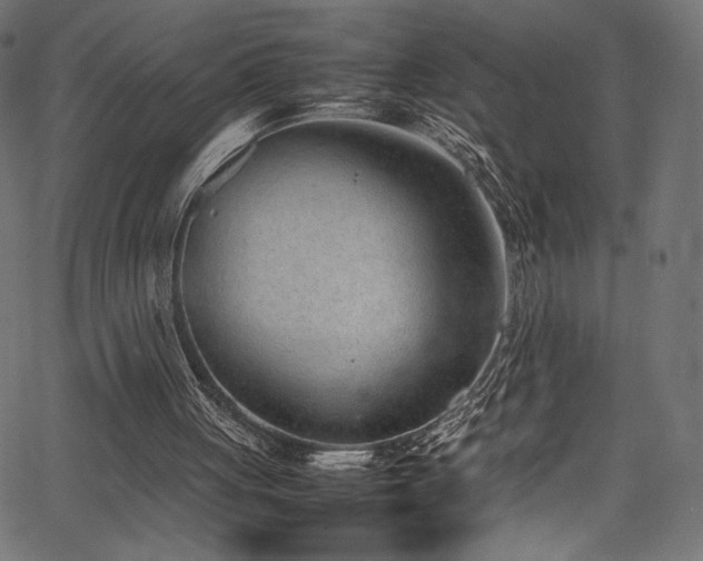 X0000067380051200603311221
