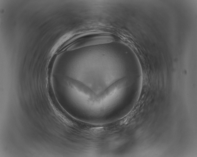 X0000067380054200603311221