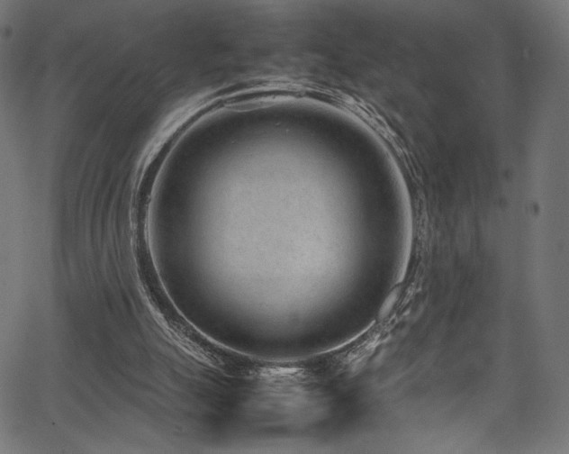 X0000067380055200603311221
