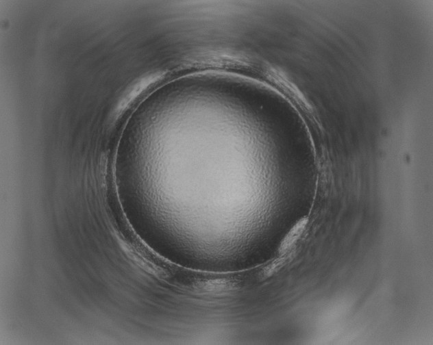 X0000067380058200603311221