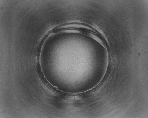 X0000067380063200603311221