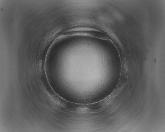 X0000067380066200603311221