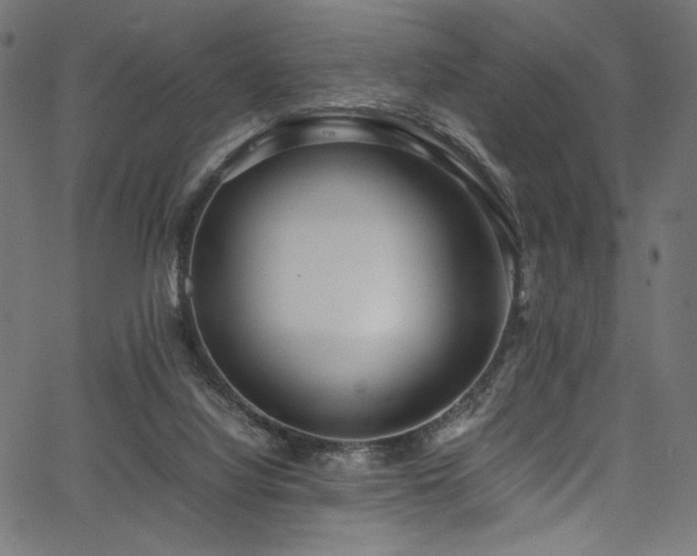 X0000067380068200603311221