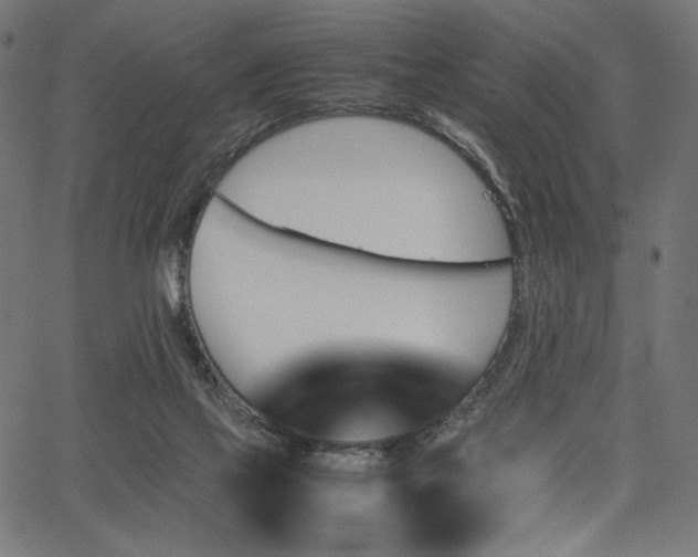 X0000067380069200603311221