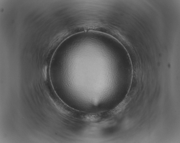 X0000067380070200603311221