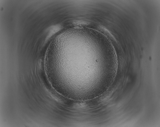 X0000067380071200603311221