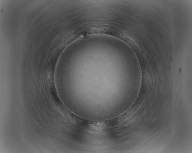 X0000067380079200603311221
