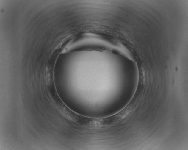 X0000067380080200603311221