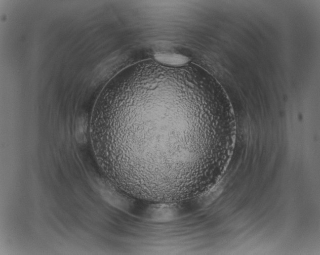 X0000067380082200603311221