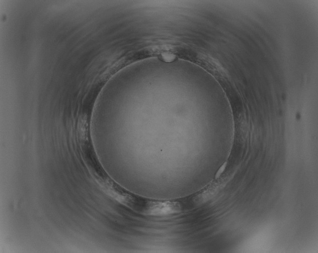 X0000067380083200603311221