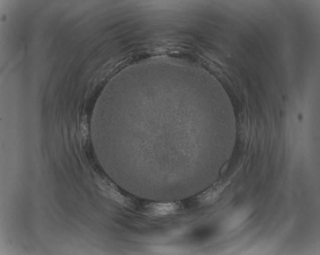X0000067380085200603311221