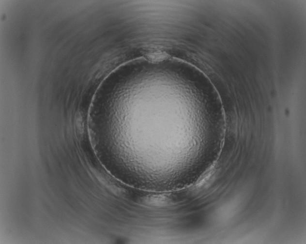 X0000067380086200603311221