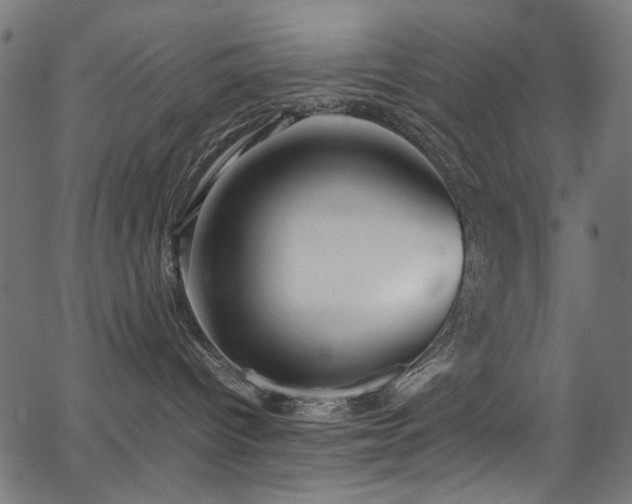 X0000067380096200603311221