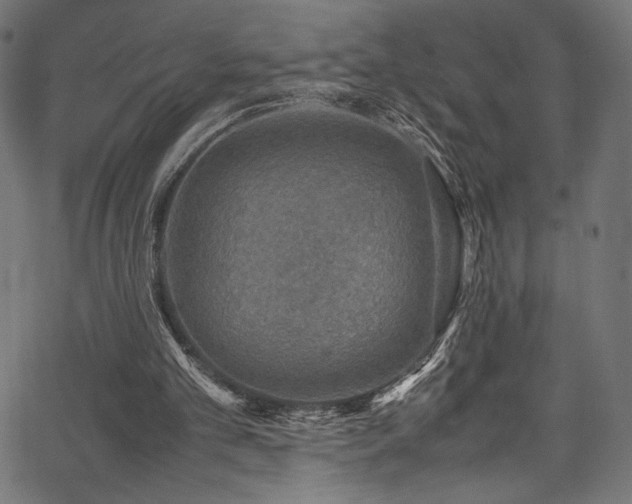 X0000067380101200603311221