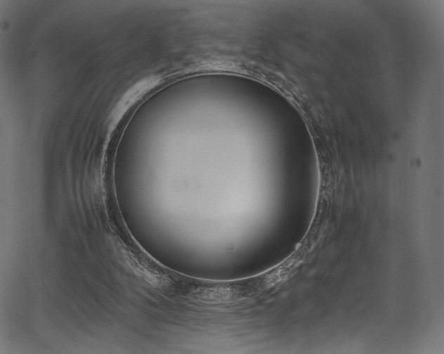 X0000067380104200603311221