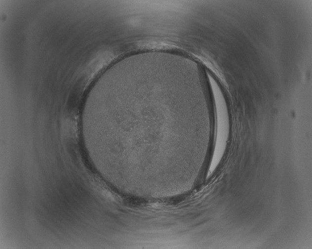 X0000067380111200603311220