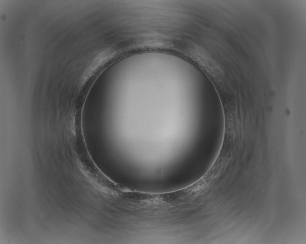 X0000067380112200603311220
