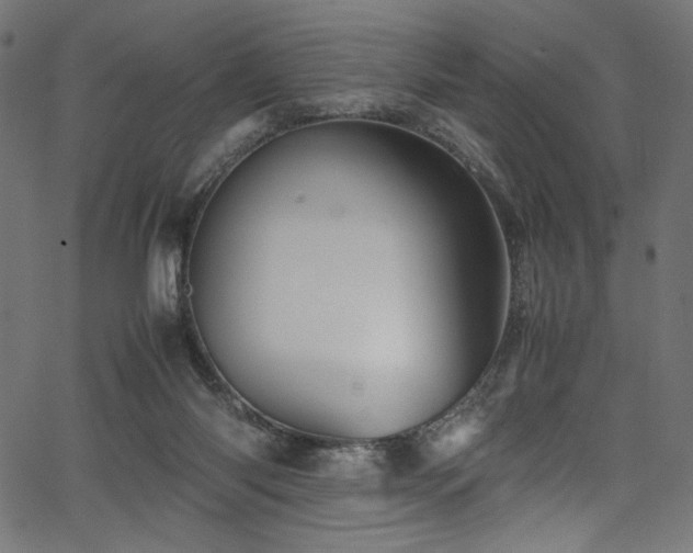X0000067380118200603311220