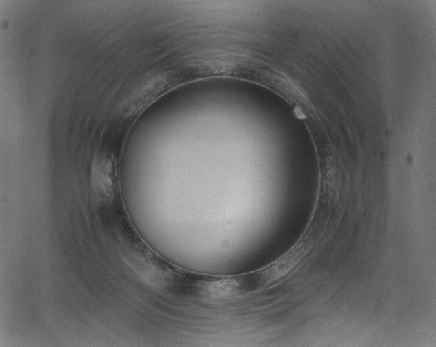 X0000067380122200603311220