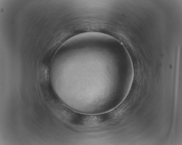 X0000067380123200603311220