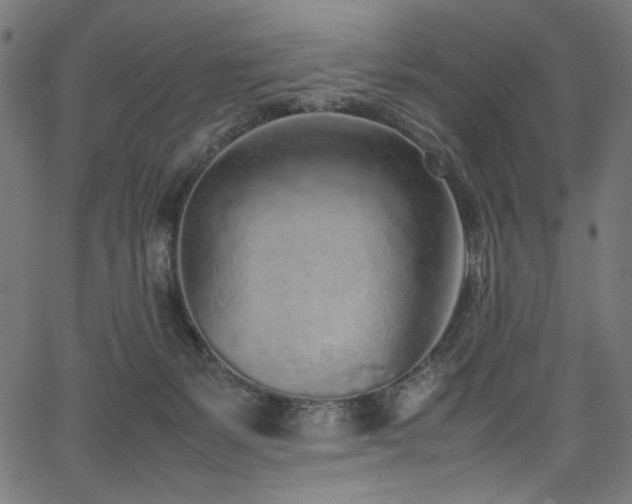 X0000067380127200603311220