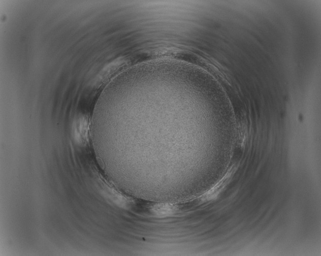 X0000067380142200603311220