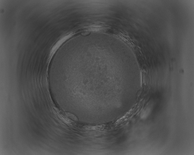 X0000067380147200603311219