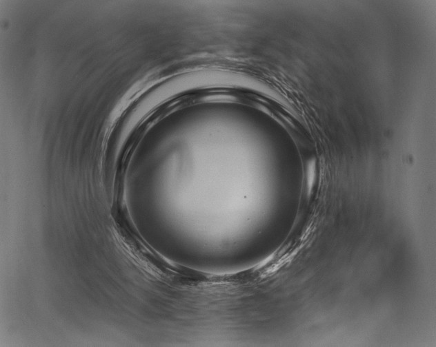 X0000067380150200603311219