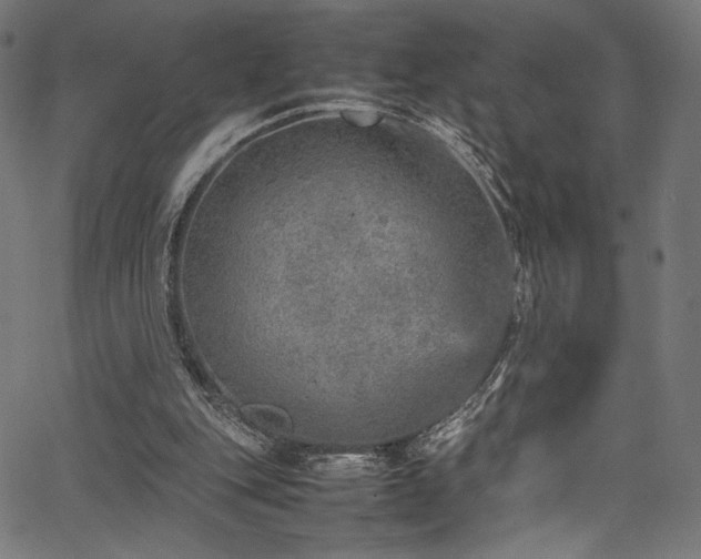 X0000067380151200603311219