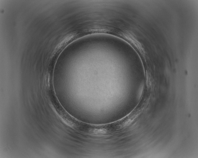 X0000067380157200603311219
