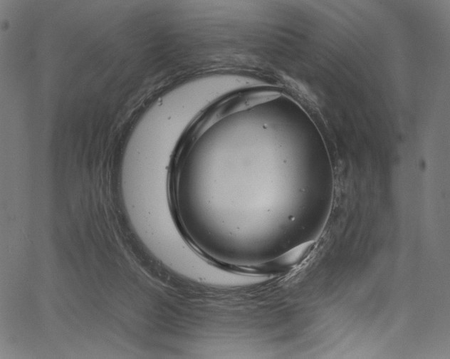 X0000067380162200603311219