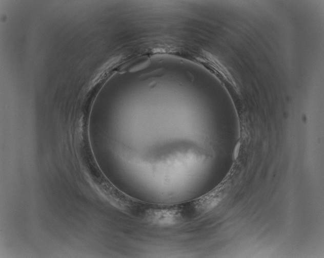 X0000067380163200603311219