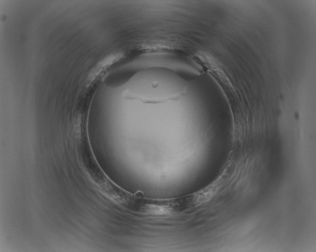 X0000067380167200603311219