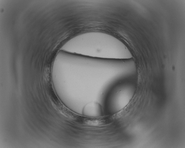 X0000067380171200603311220