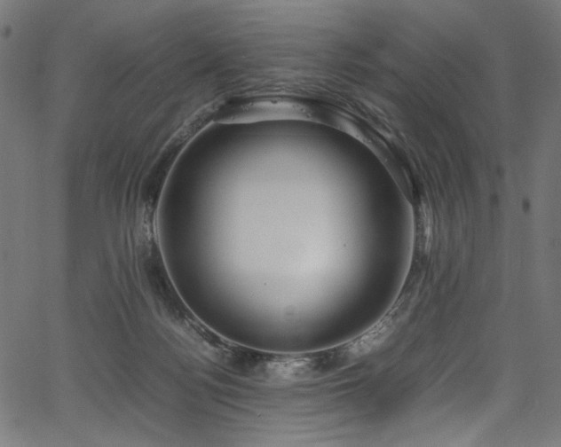 X0000067380172200603311220