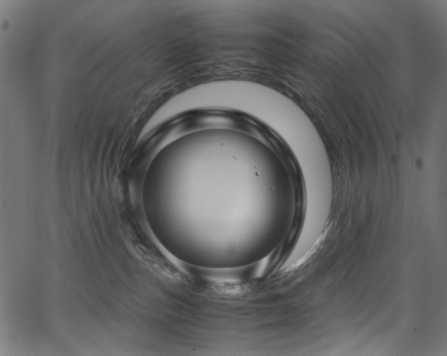 X0000067380187200603311220