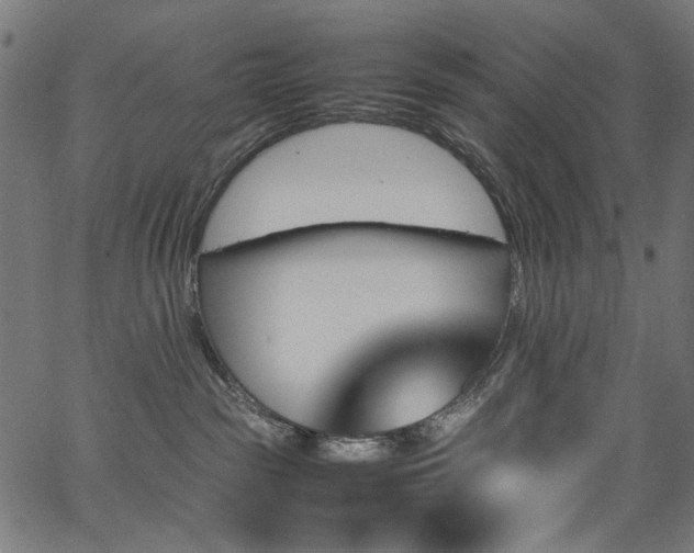 X0000067380189200603311220