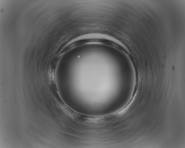 X0000067380190200603311220