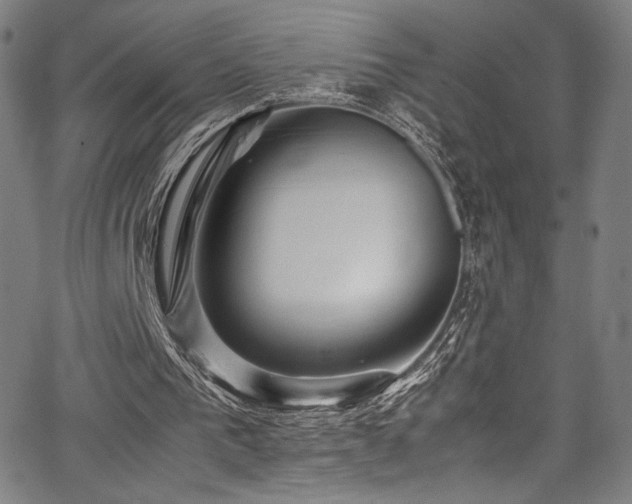 X0000067380193200603311219