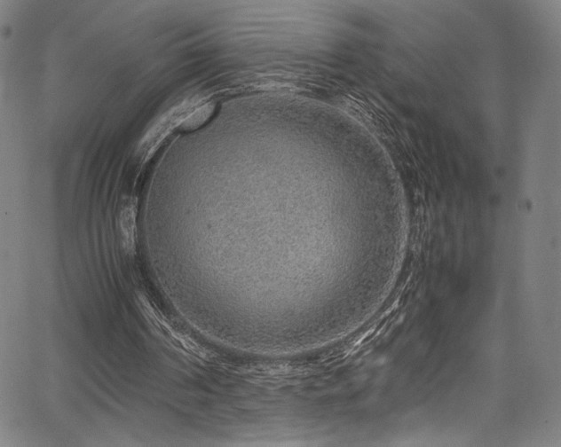 X0000067380194200603311219