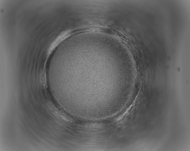 X0000067380198200603311219