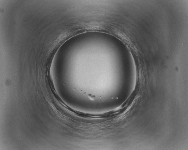 X0000067380201200603311219
