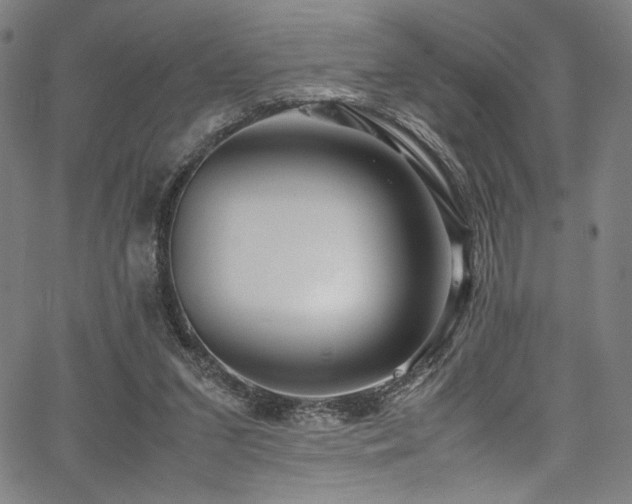 X0000067380207200603311219