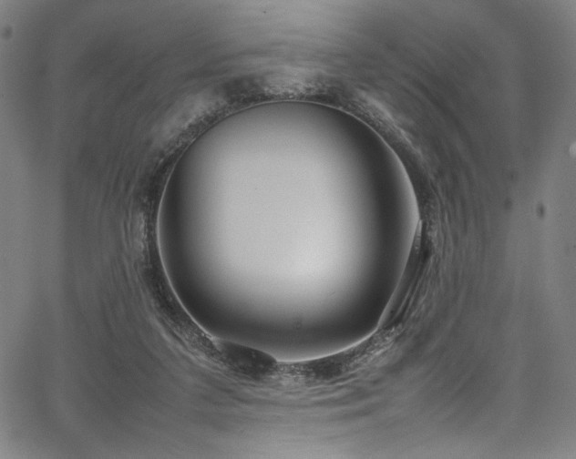 X0000067380211200603311219